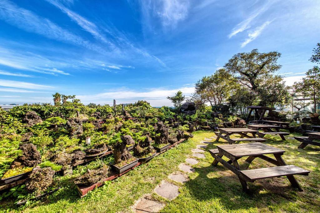 Olleyo Resort Seogwipo Exteriör bild
