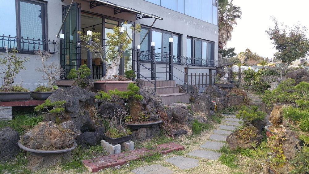 Olleyo Resort Seogwipo Exteriör bild
