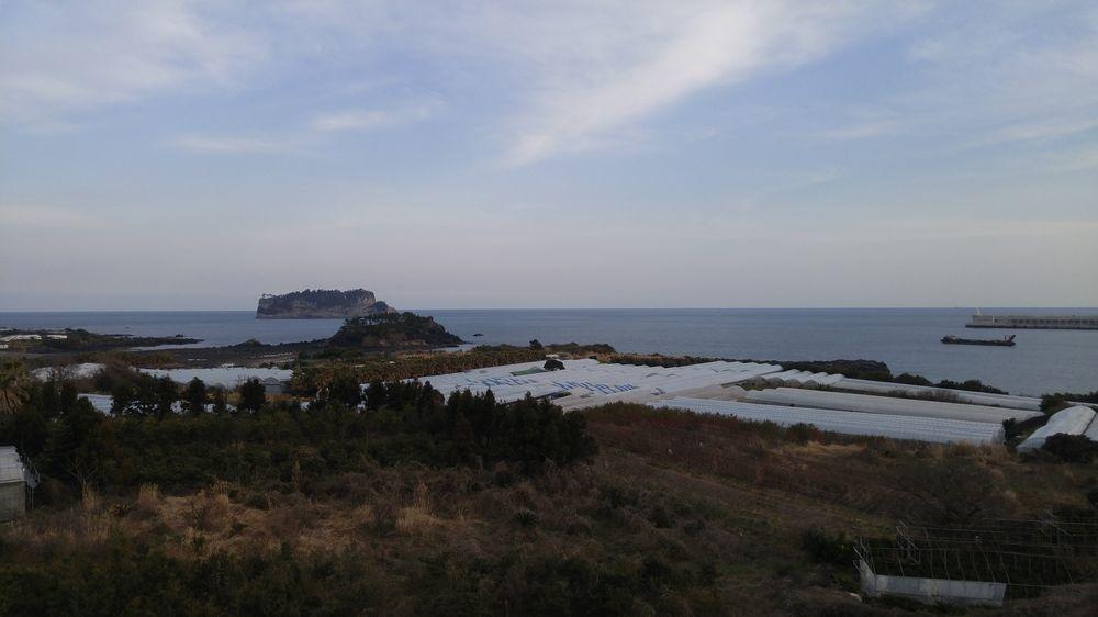 Olleyo Resort Seogwipo Exteriör bild