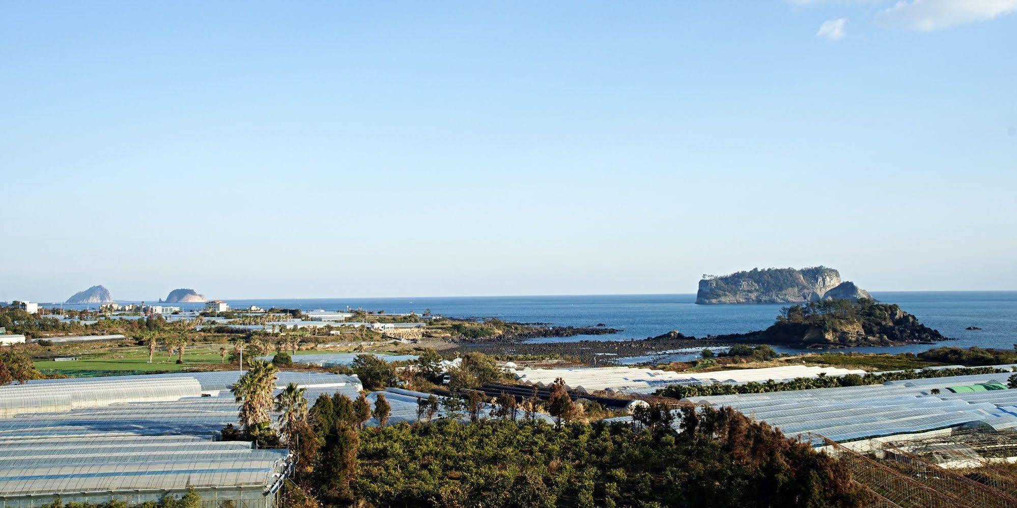Olleyo Resort Seogwipo Exteriör bild